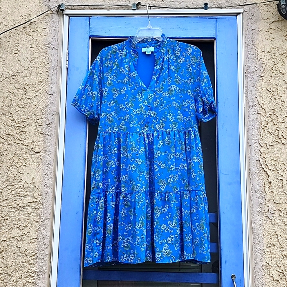 Blue with light pink and green floral print dress